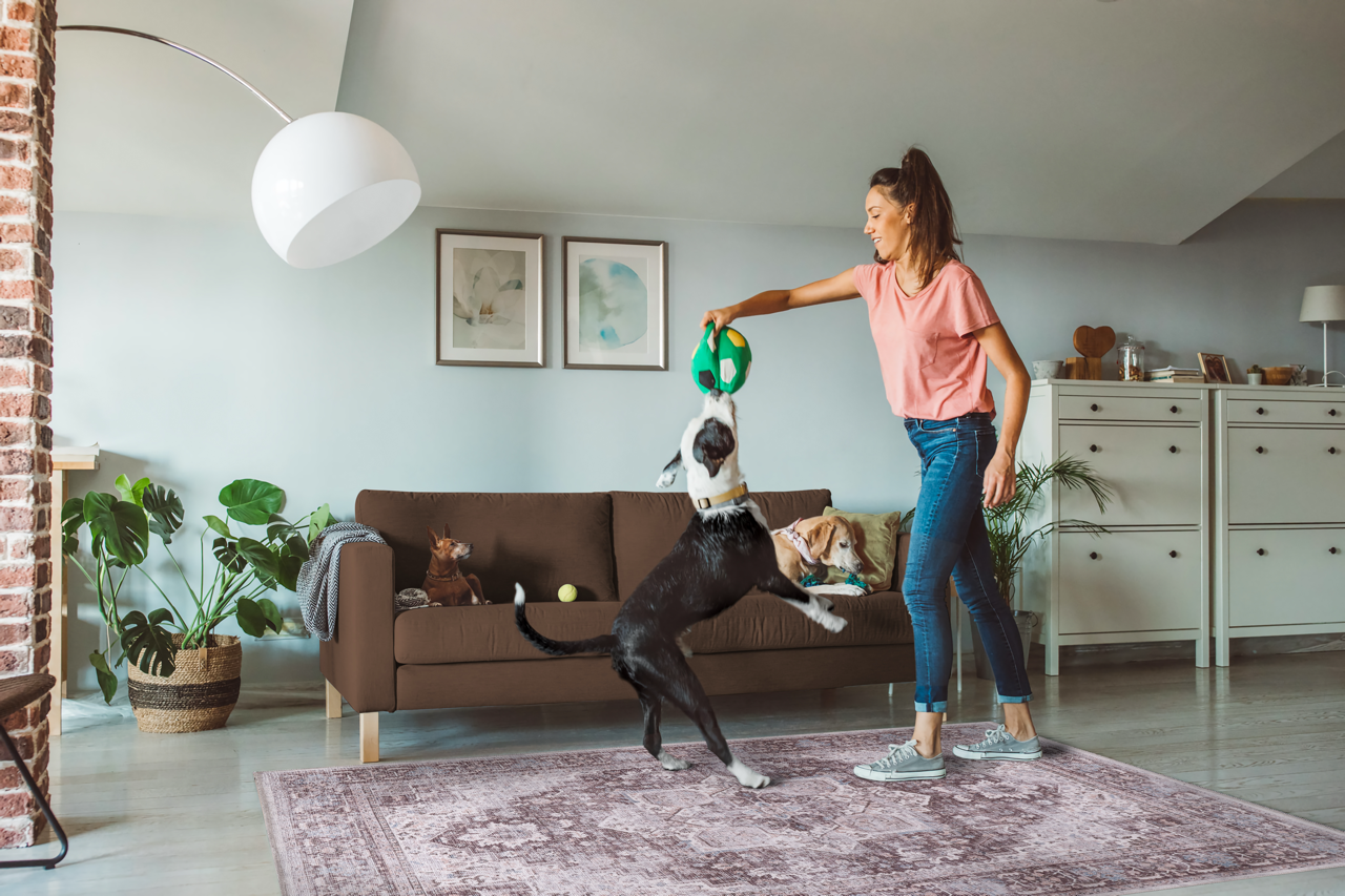 Ljuva Home Tribal Multicolor Geometric Washable Rug Design 1311