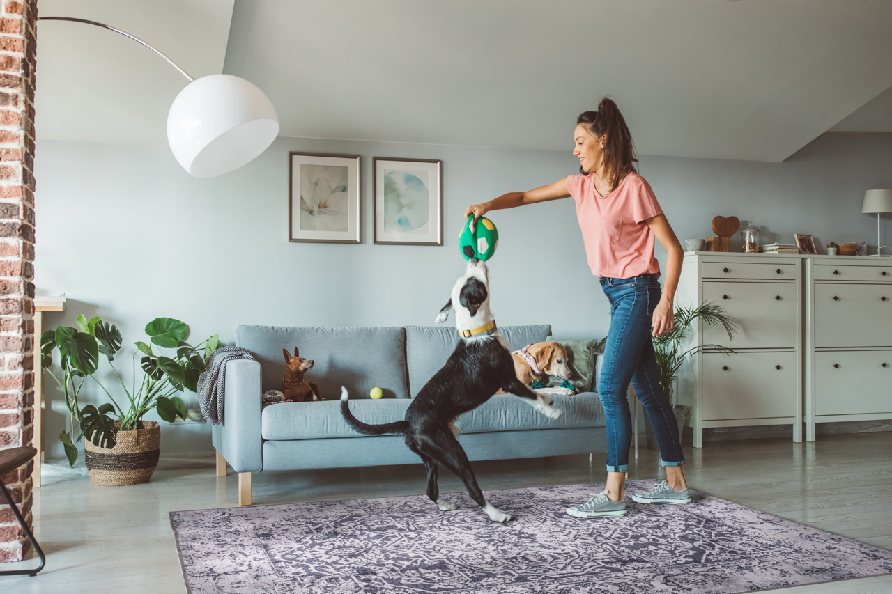 Ljuva Home Traditional Blue Abstract Washable Rug Design 1338