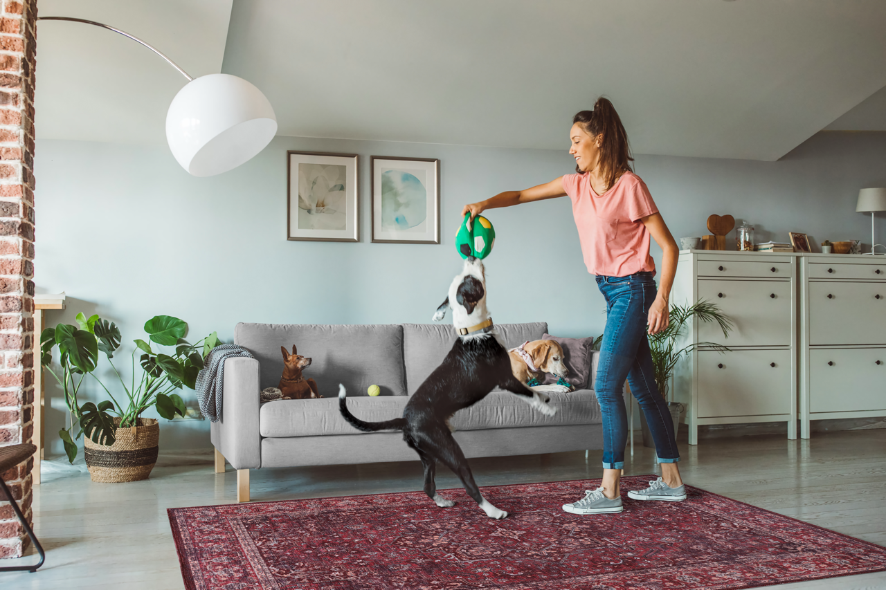 Ljuva Home Tribal Multicolor Geometric Washable Rug Design 1310